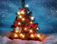Откуда появилась традиция наряжать елку: легенды и факты Откуда произошло наряжать елку на новый год